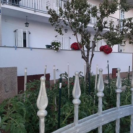 Apartment Bracic Vodice Exterior foto